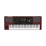 Korg pa100